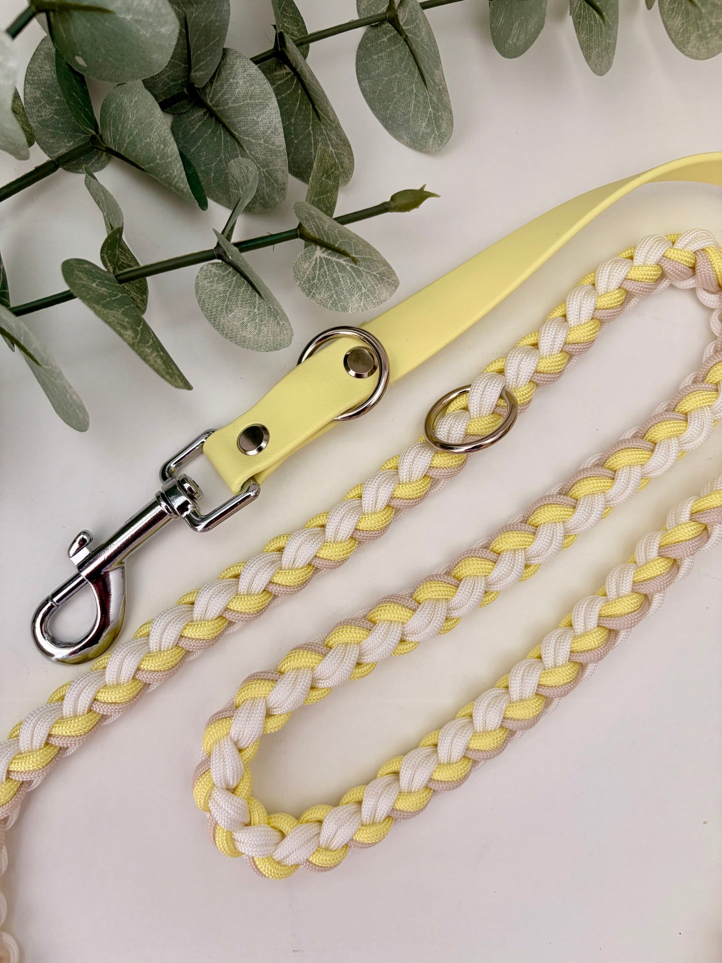 Paracordleine "Classic" mit Biothane in der Farbkombi "Butter Lemon"