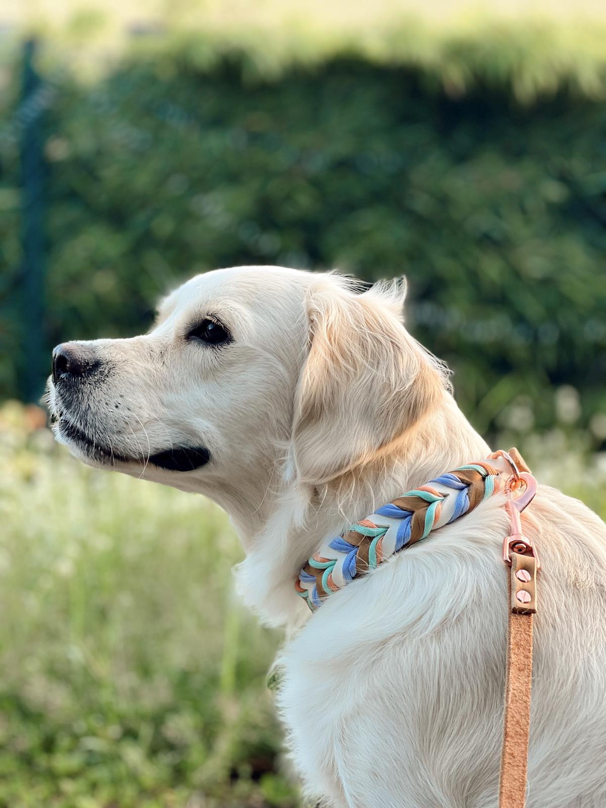 Paracord Halsband "Fettleder" in der Farbkombi "Blossom Pastel"