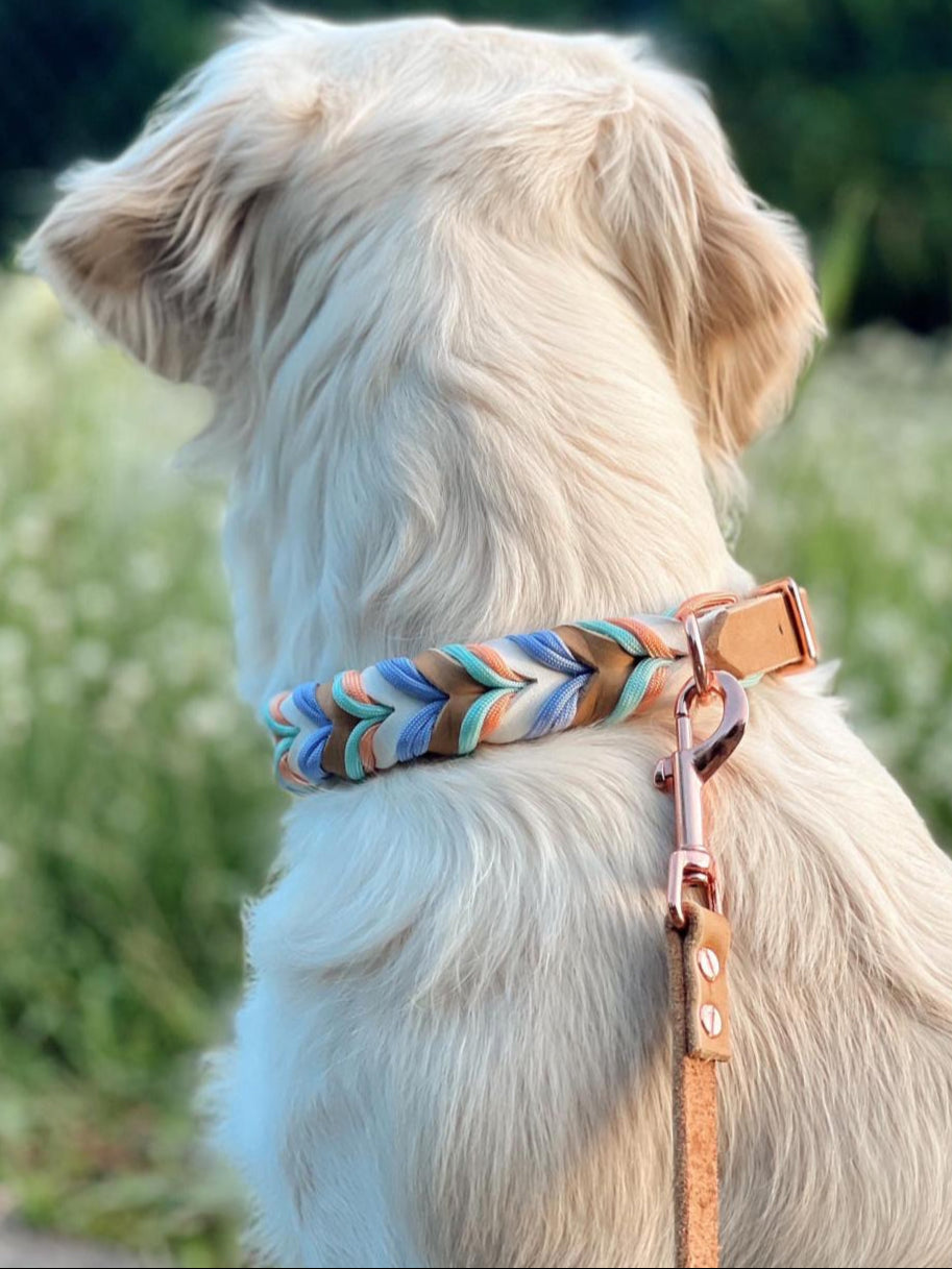 Paracord Halsband "Fettleder" in der Farbkombi "Blossom Pastel"