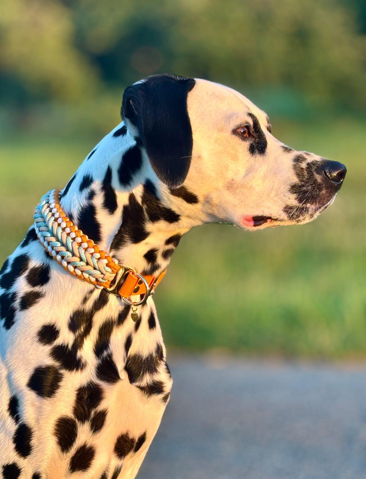 Paracord Halsband "Be Happy" in der Farbkombi "Sunset Coast"