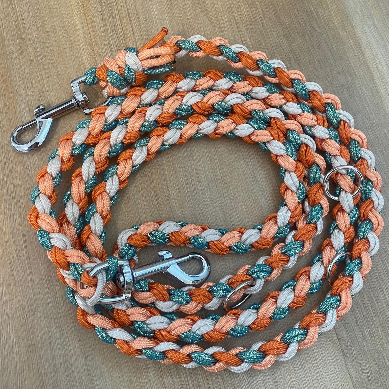 Paracord Hundeleine Sofortkauf 2m – Leinfachschön