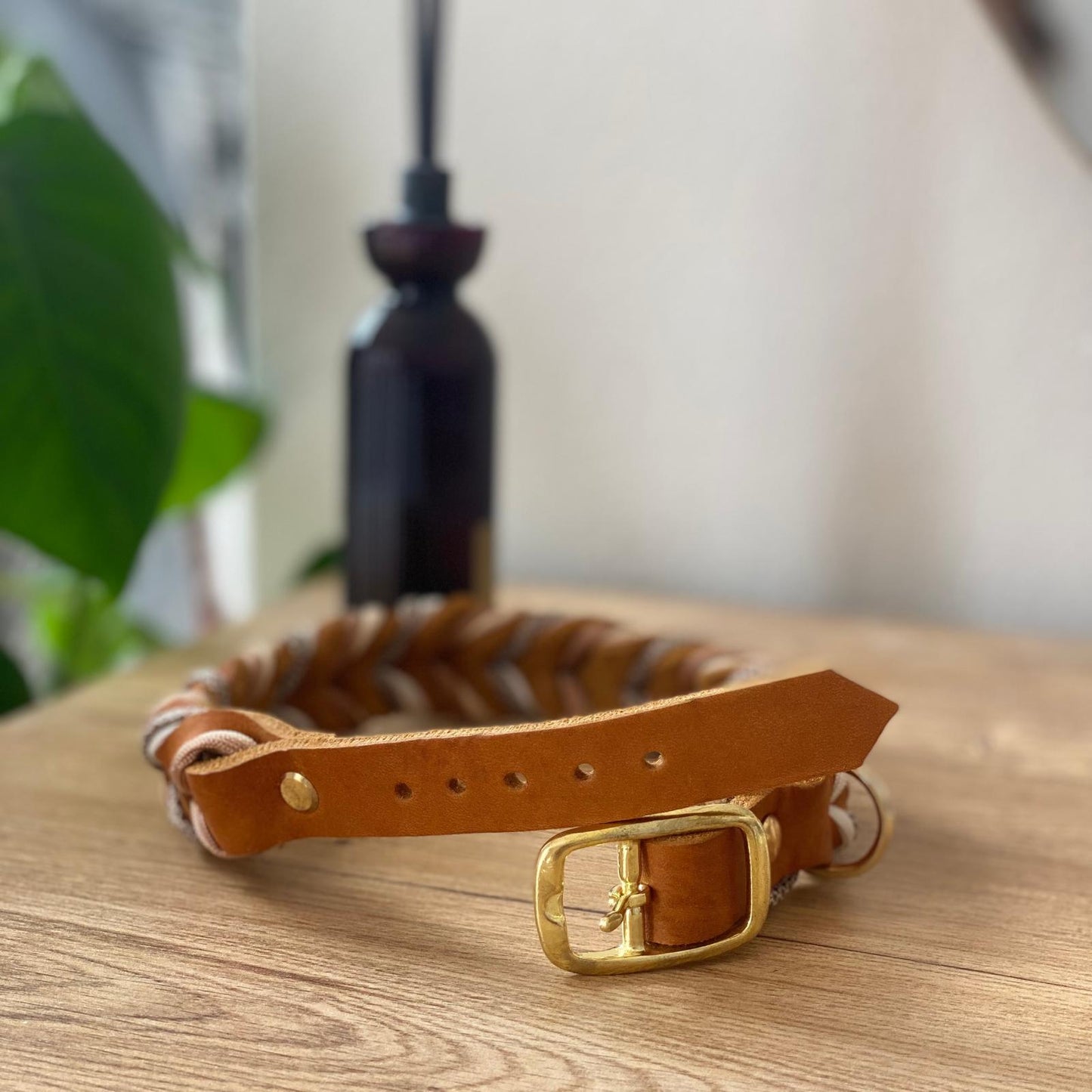 Fettleder Halsband Sofortkauf 37-42cm