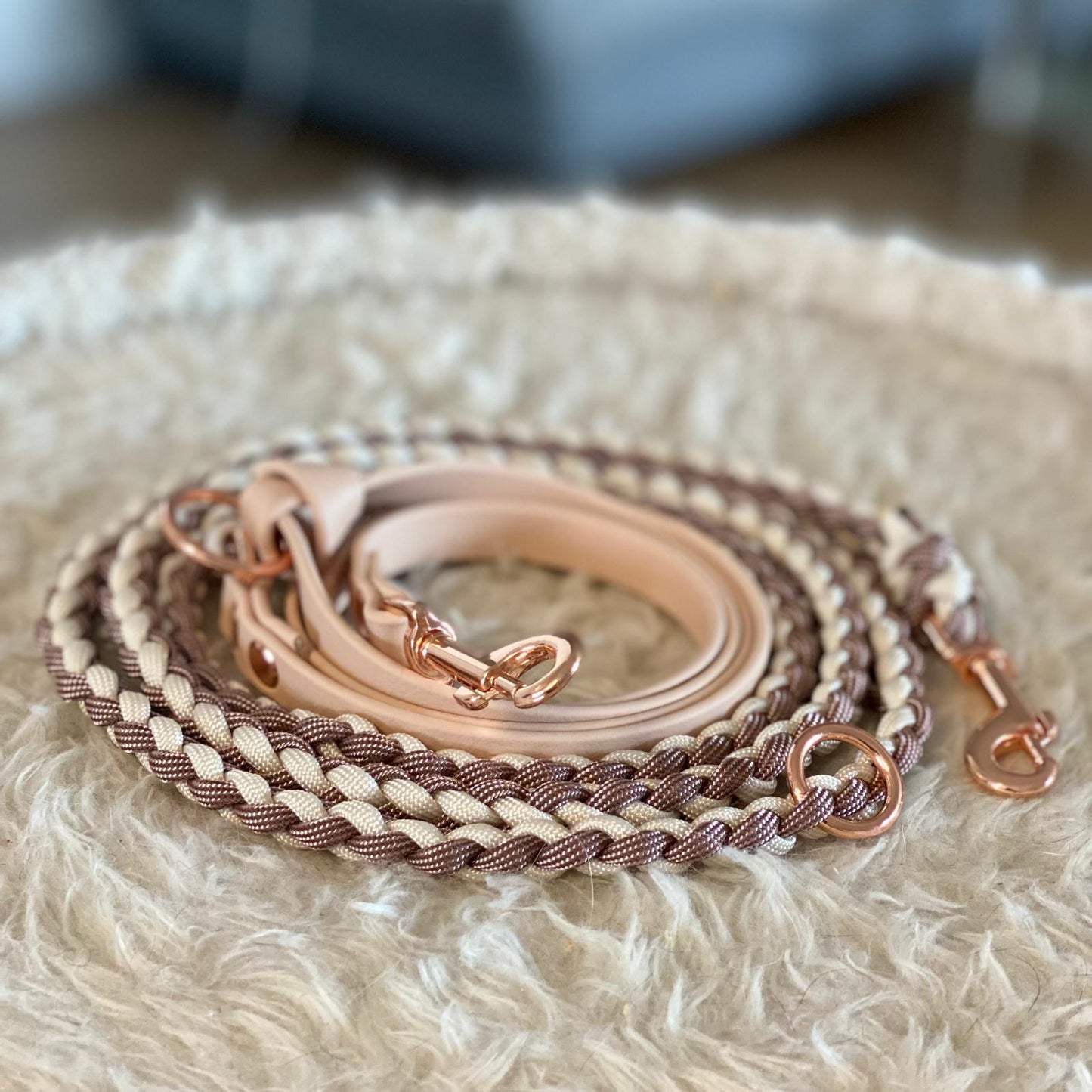 Paracord Hundeleine Mini mit Biothane Sofortkauf 2,50m