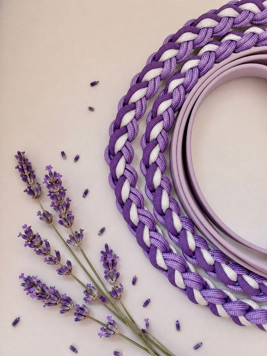 Paracordleine "Classic" mit Biothane in der Farbkombi "Amethyst"