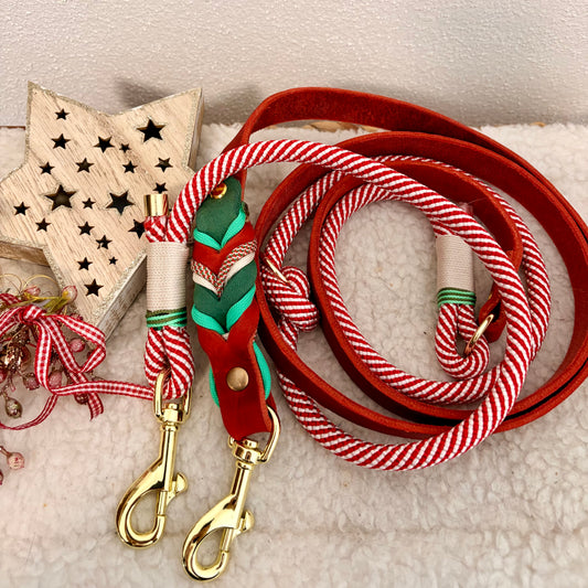 Hundeleineseil mit Fettleder Sofortkauf 2,40m