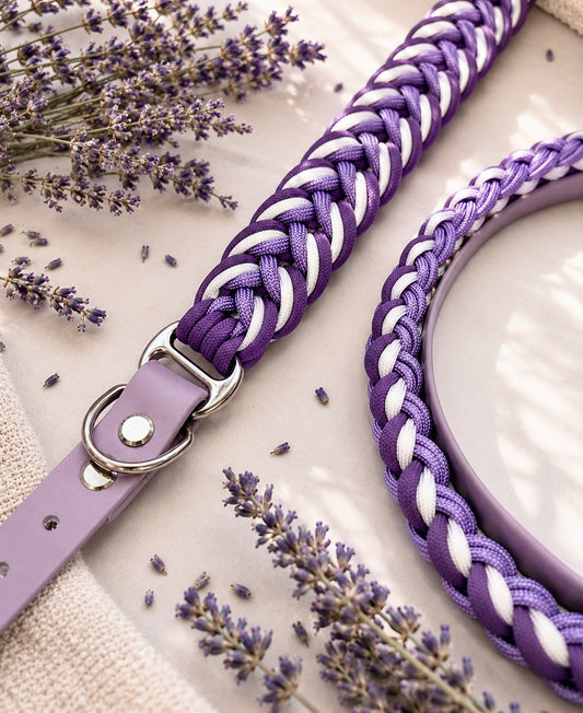 Paracord Halsband "Tulip" in der Farbkombi "Amethyst"