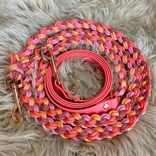 Paracord Hundeleine mit Biothane Sofortkauf 2,80m