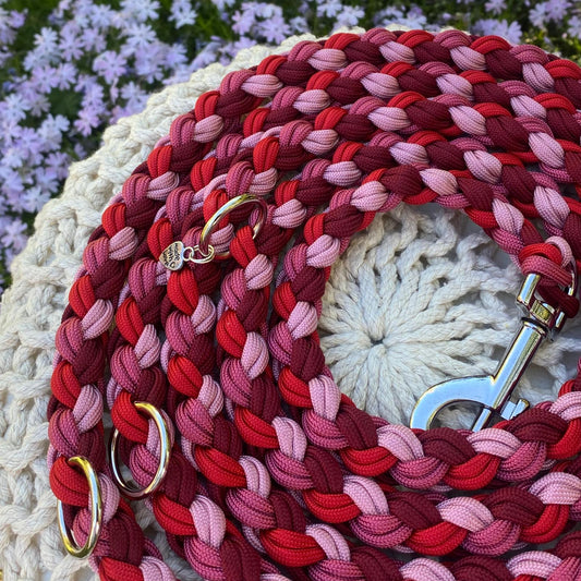 Paracord Hundeleine Sofortkauf 3m
