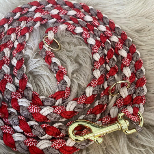 Paracord Hundeleine Sofortkauf 2,10m