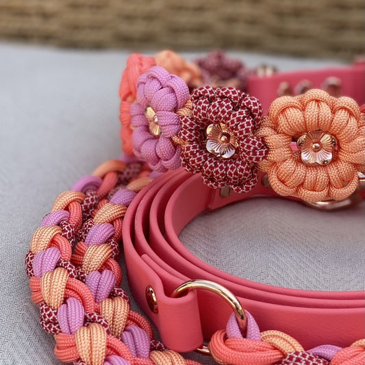 Paracord Halsband "Flora" in der Farbkombi "Sommermix"